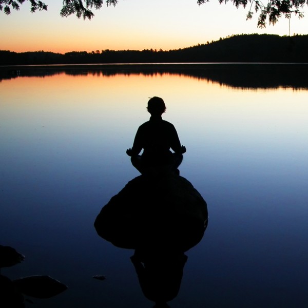 Stillness at the water's edge